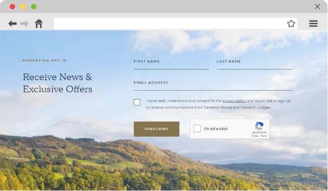 Marketing opt-in sign up form
